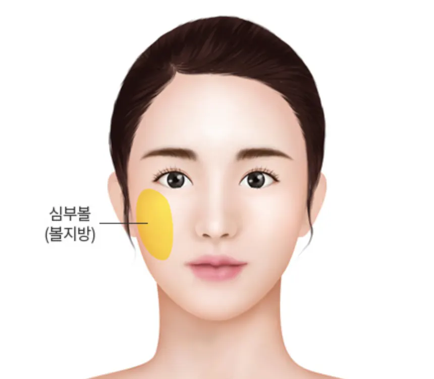 我年轻的时候